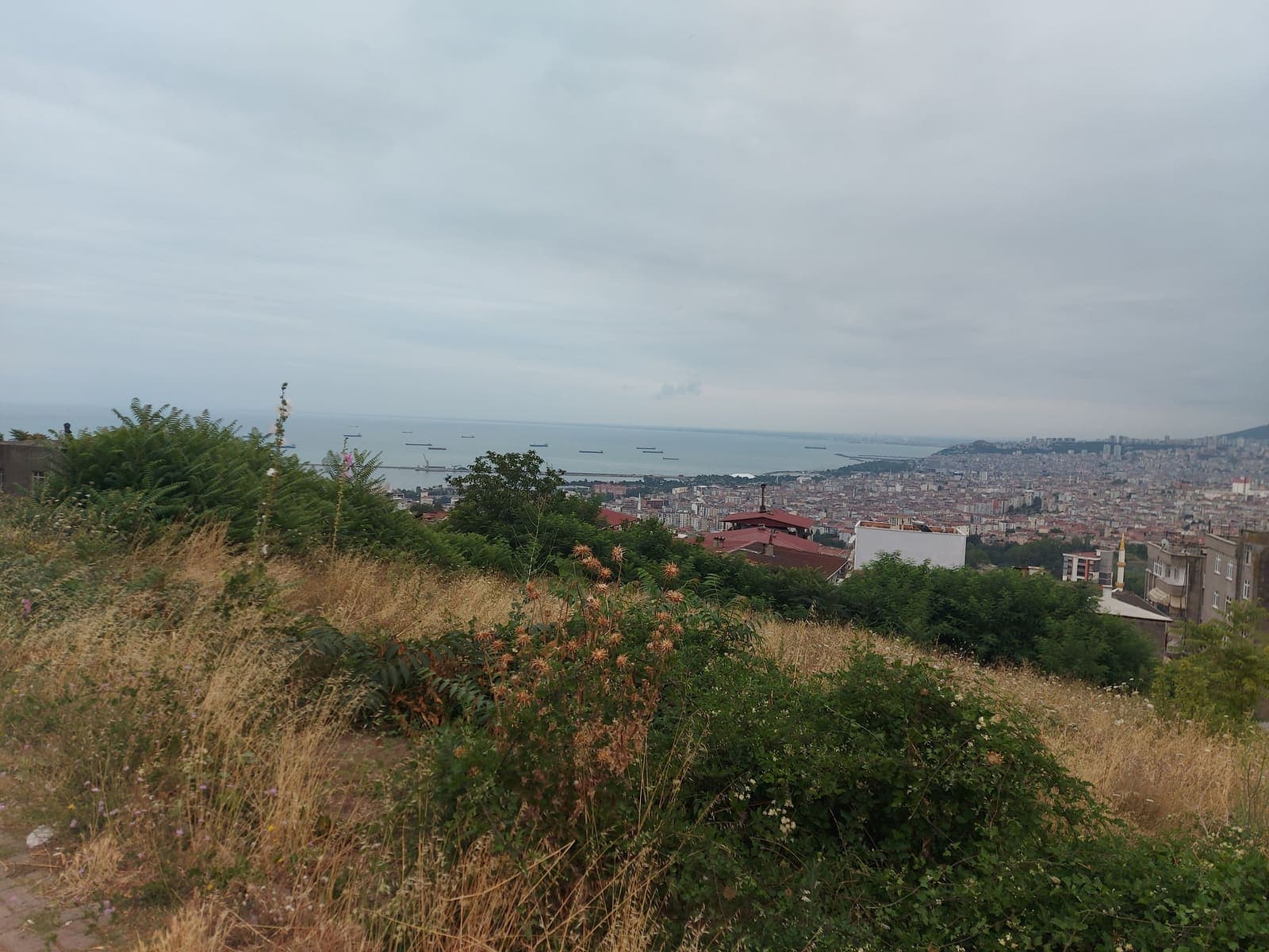 Samsun'da Ticari Gayrimenkul Yatırımı Rehberi