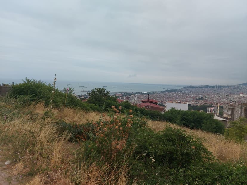 Samsun'da Ticari Gayrimenkul Yatırımı Rehberi